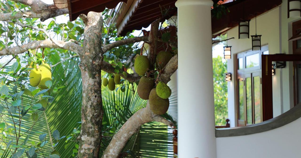 Terrace Garden Ayurveda Resort Weligama Buitenkant foto