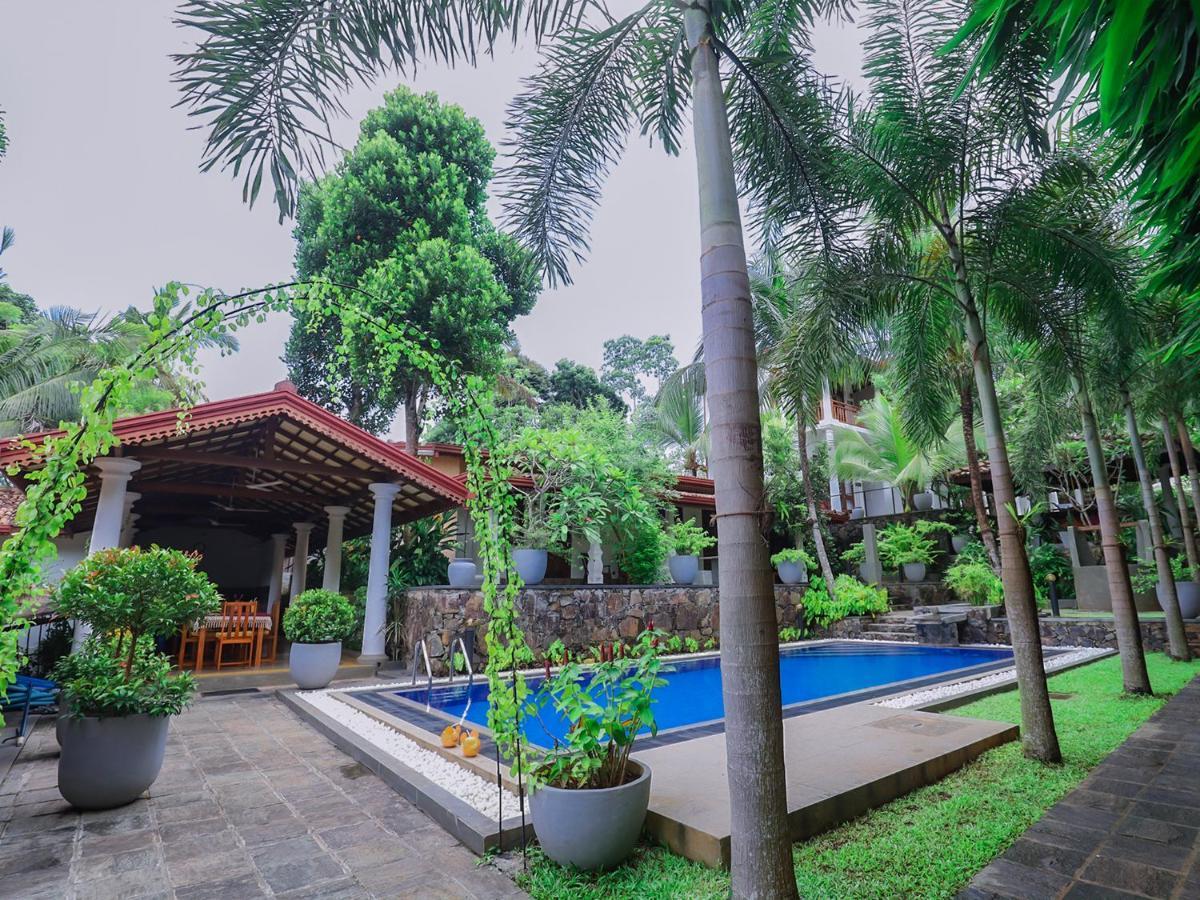 Terrace Garden Ayurveda Resort Weligama Buitenkant foto