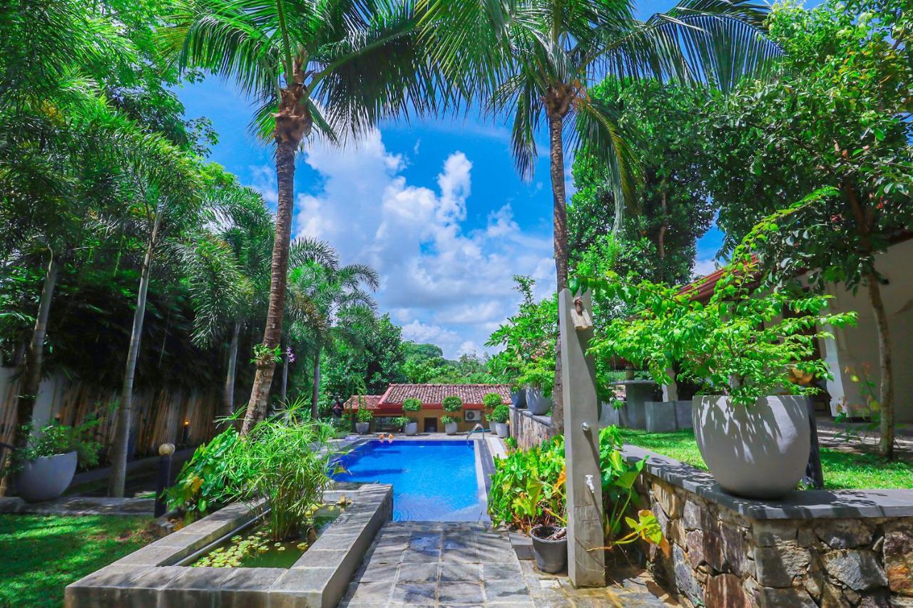 Terrace Garden Ayurveda Resort Weligama Buitenkant foto